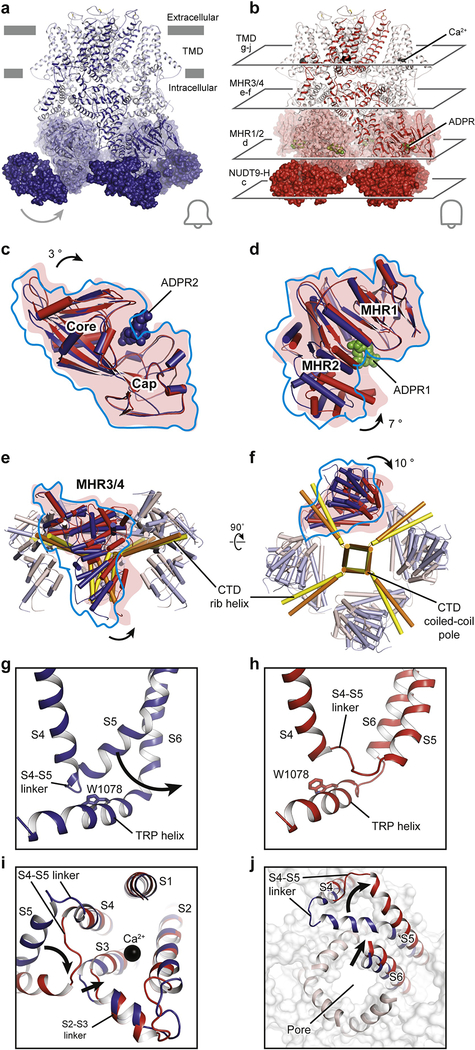 Figure 5: