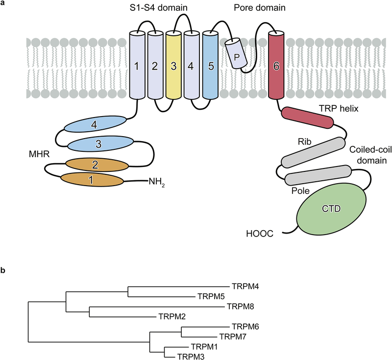 Figure 1: