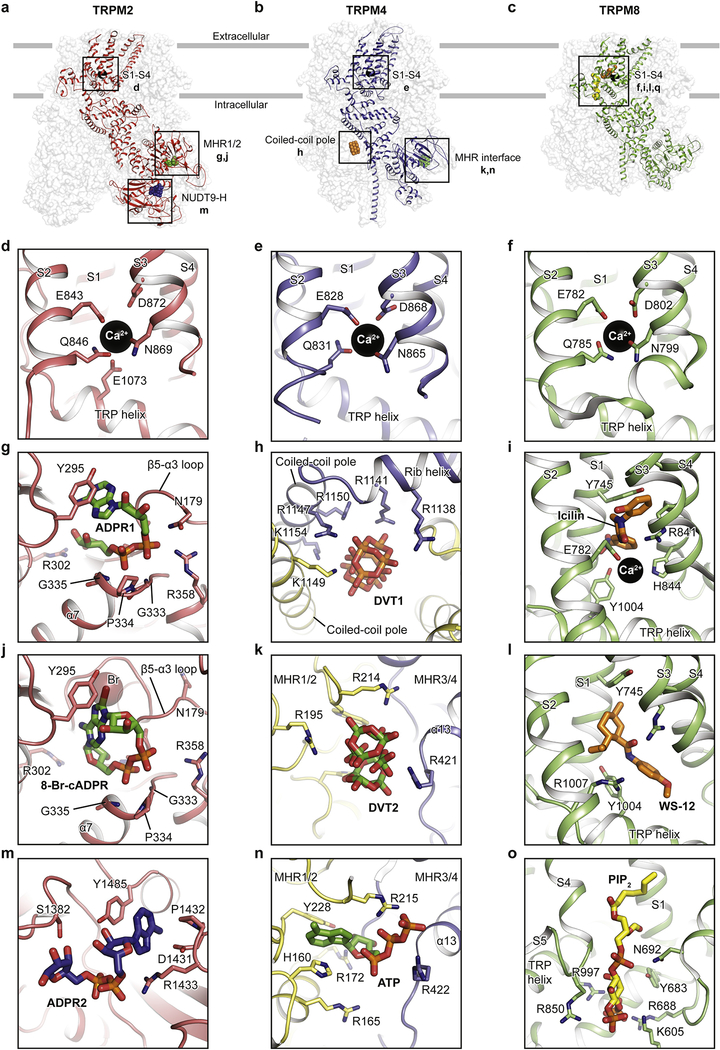 Figure 3: