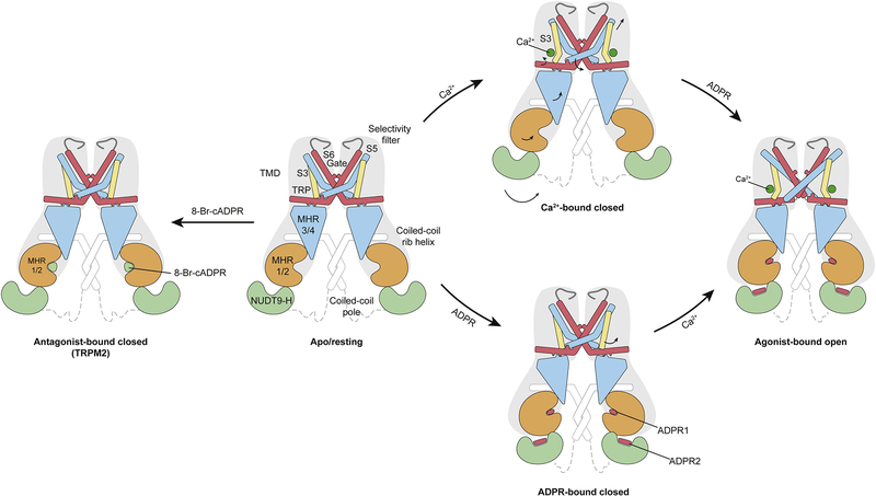 Figure 6: