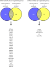 Fig 10