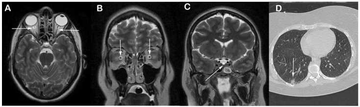 FIGURE 1: