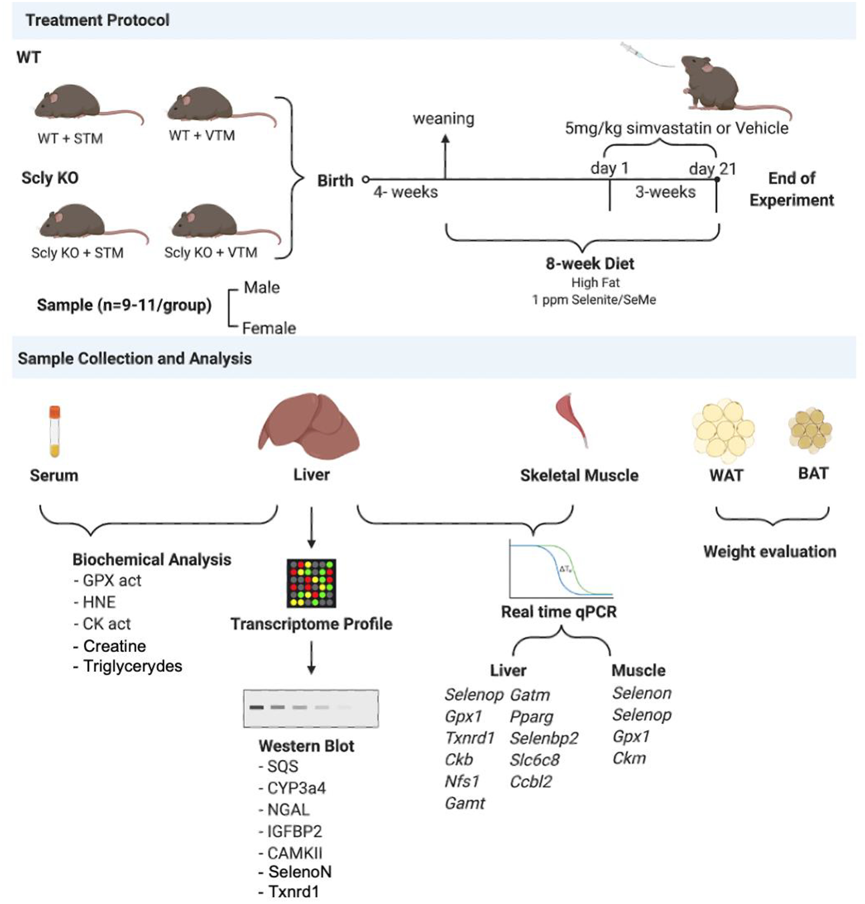 Figure 1: