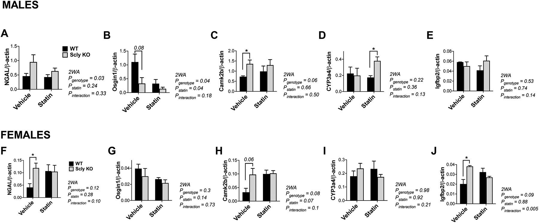 Figure 4: