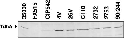 FIG. 7