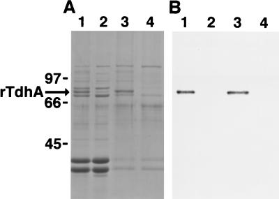 FIG. 5