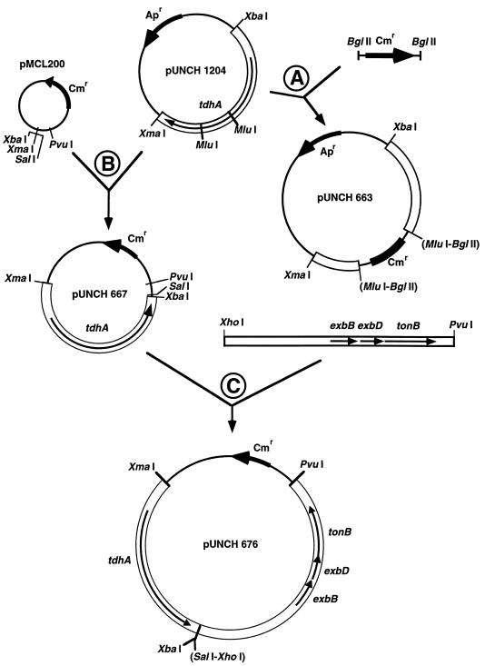 FIG. 1