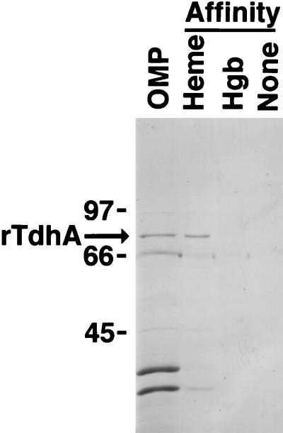 FIG. 6