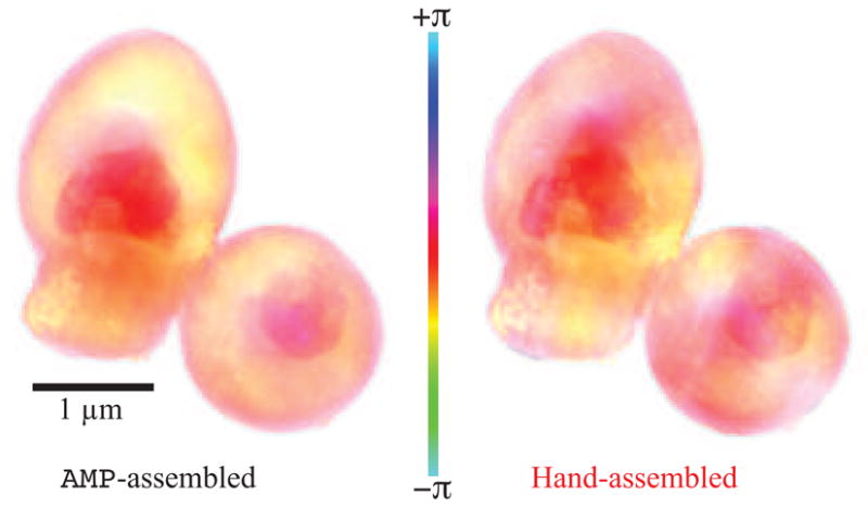 Fig. 2