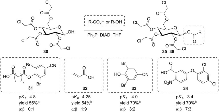 Scheme 6