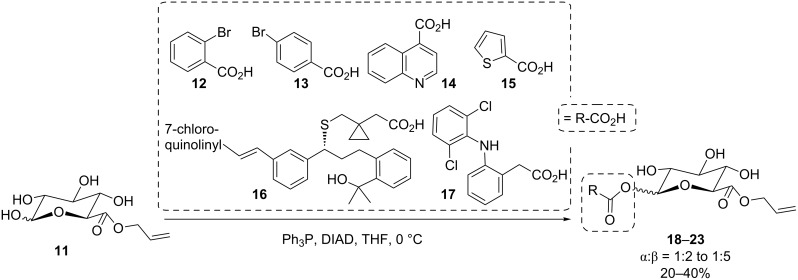 Scheme 4