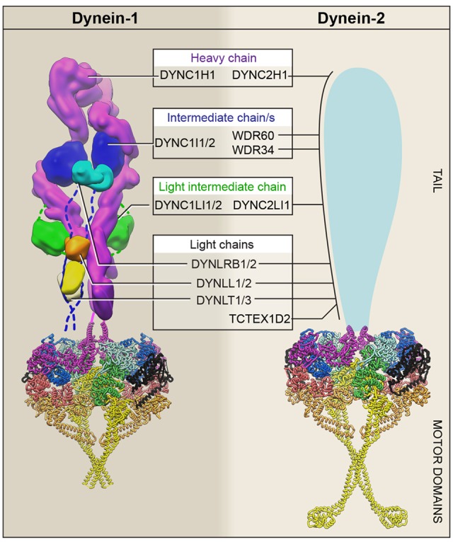 Figure 2.