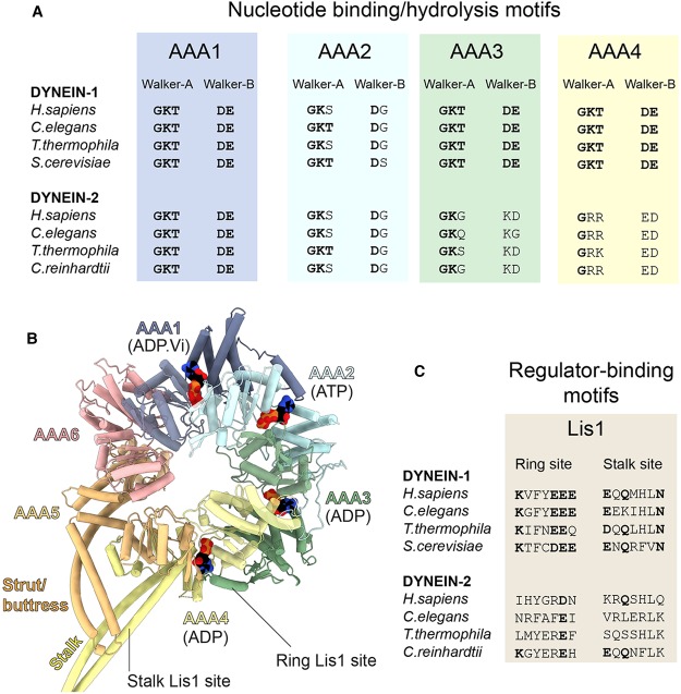 Figure 3.