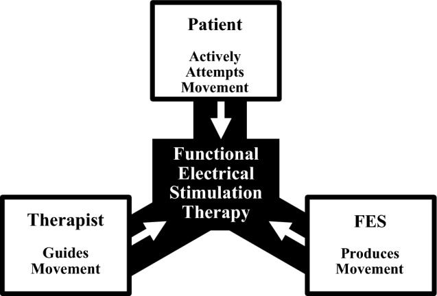 Fig. 3