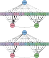 <b>Figure 1.</b>