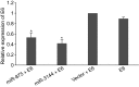 Figure 3