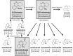 Fig. (2)