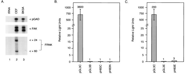 FIG. 6