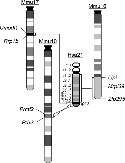 Figure 1.