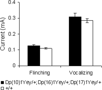 Figure 6.