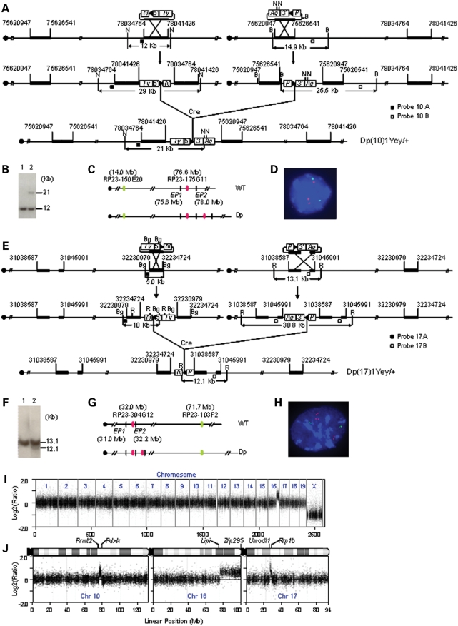 Figure 2.