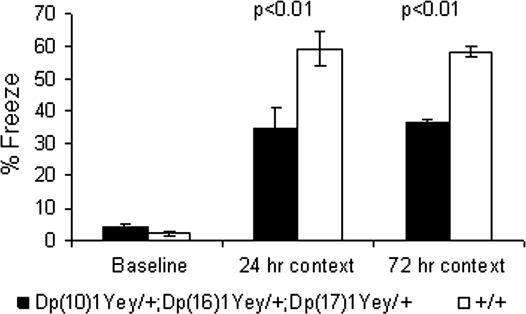 Figure 5.