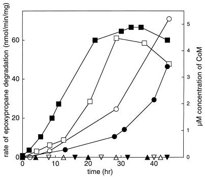 FIG. 5