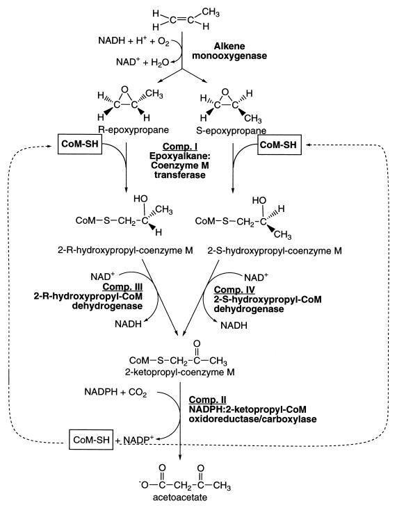 FIG. 1