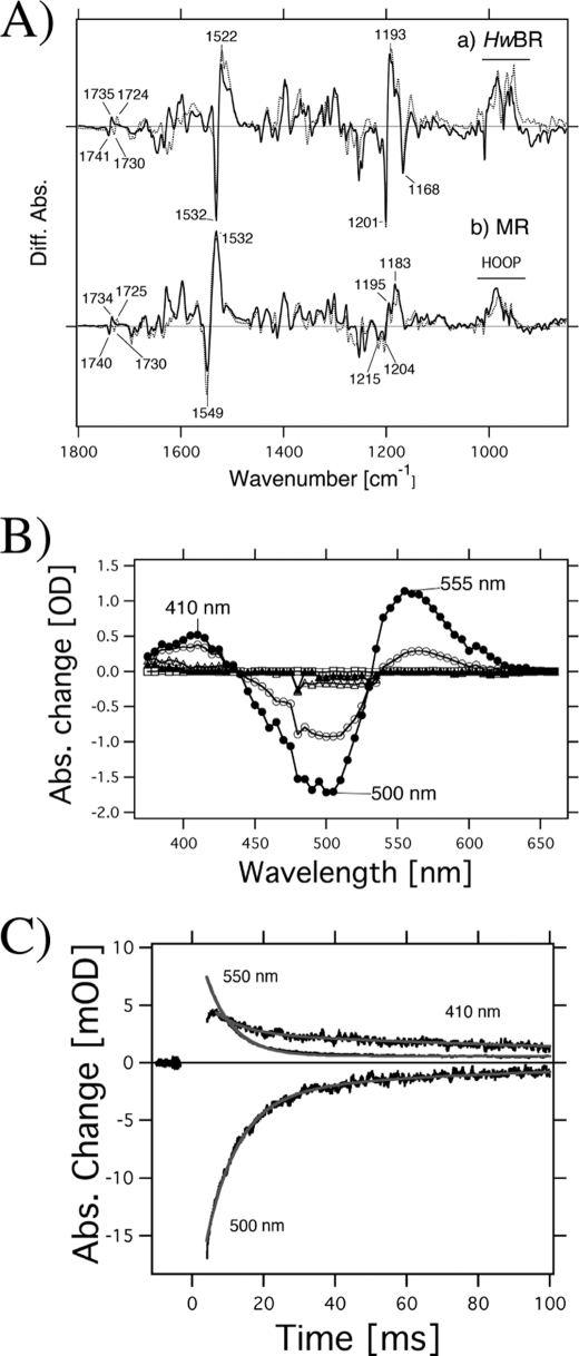 FIGURE 4.