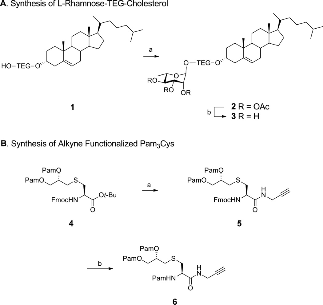 Scheme 1