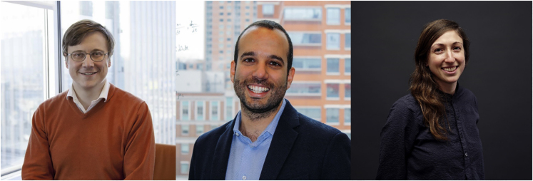 graphic file with name gr2.jpg