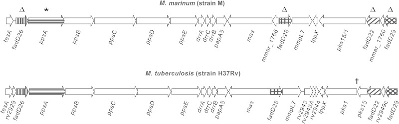 FIG 2