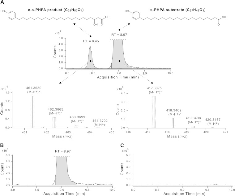 FIG 6