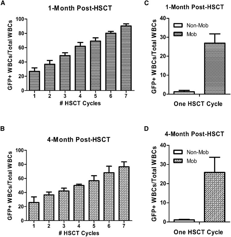 Figure 2