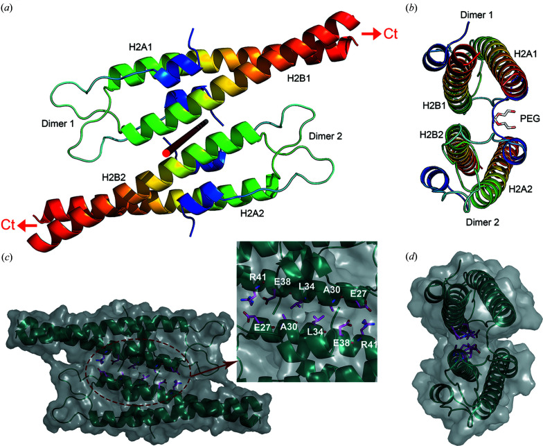 Figure 2