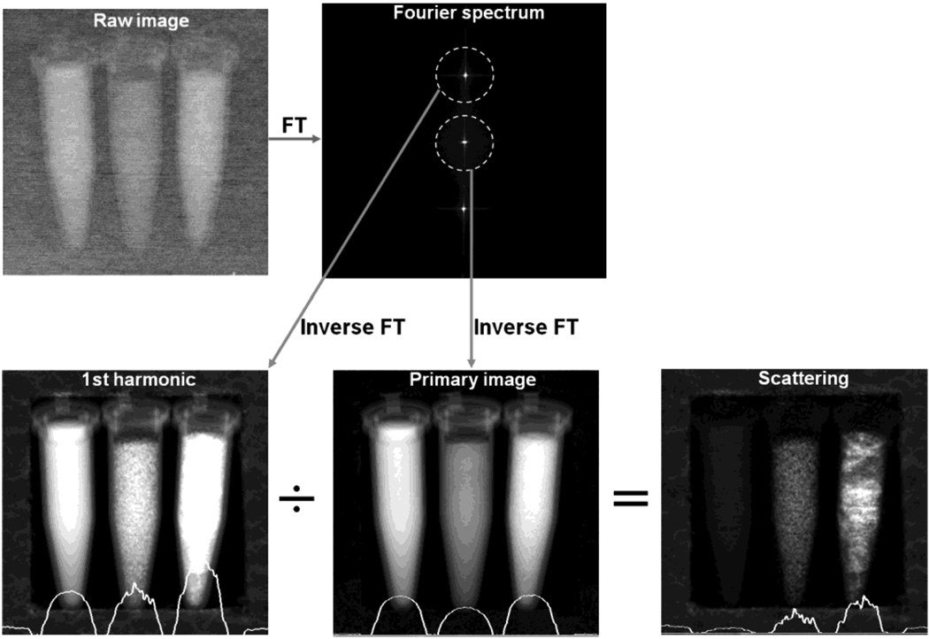 Fig. 2