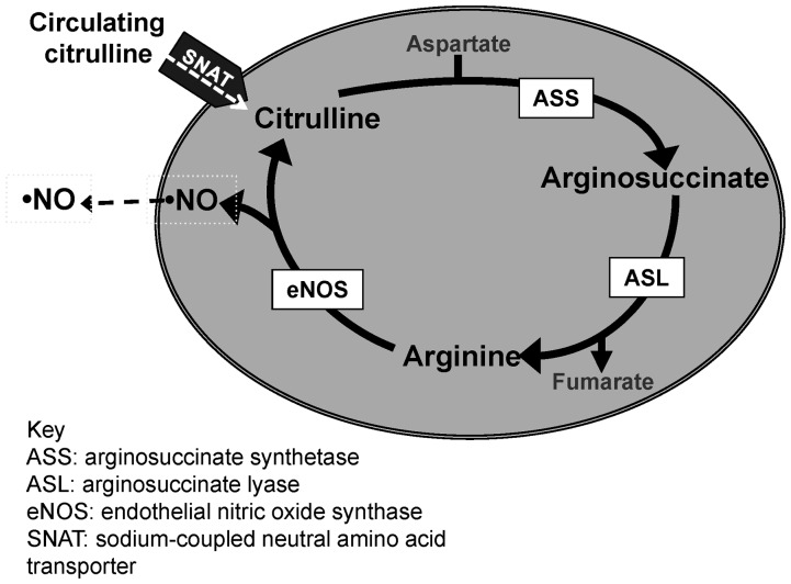 Figure 1