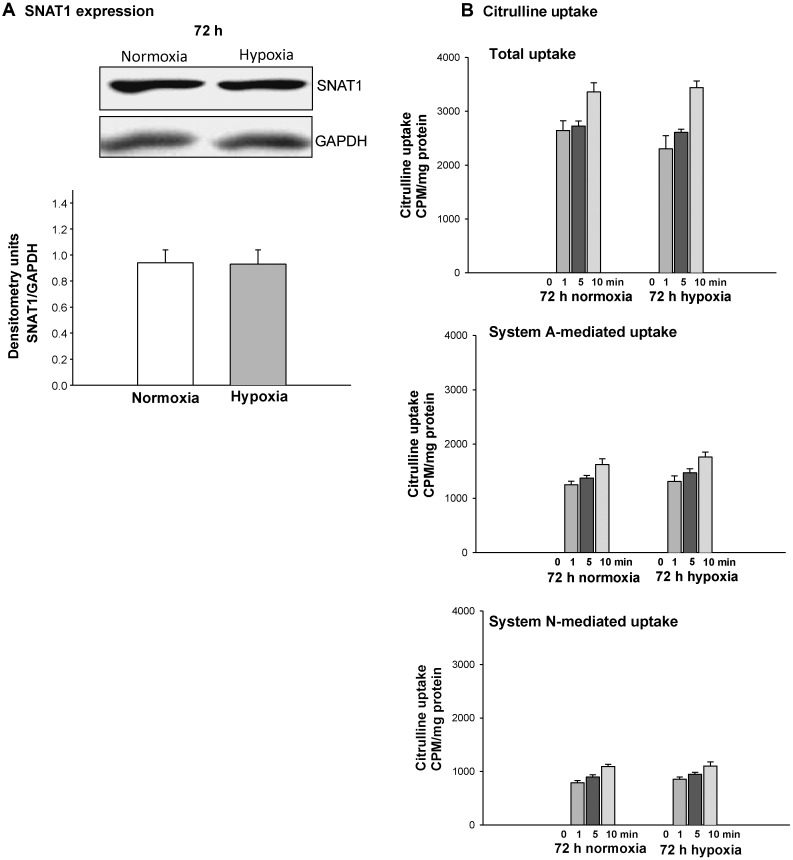 Figure 6