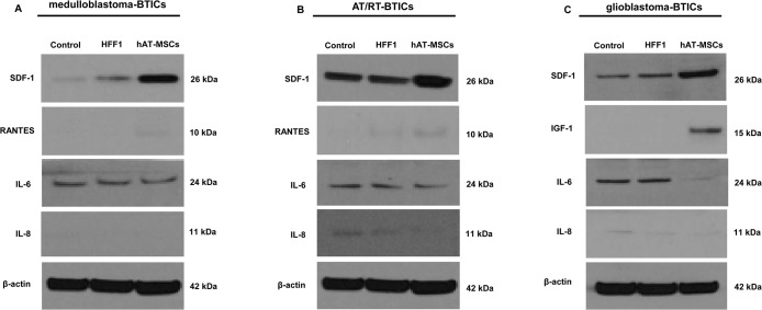 Fig 5