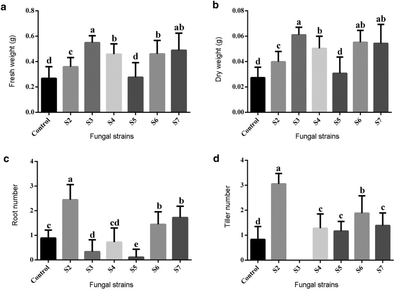 Fig. 4