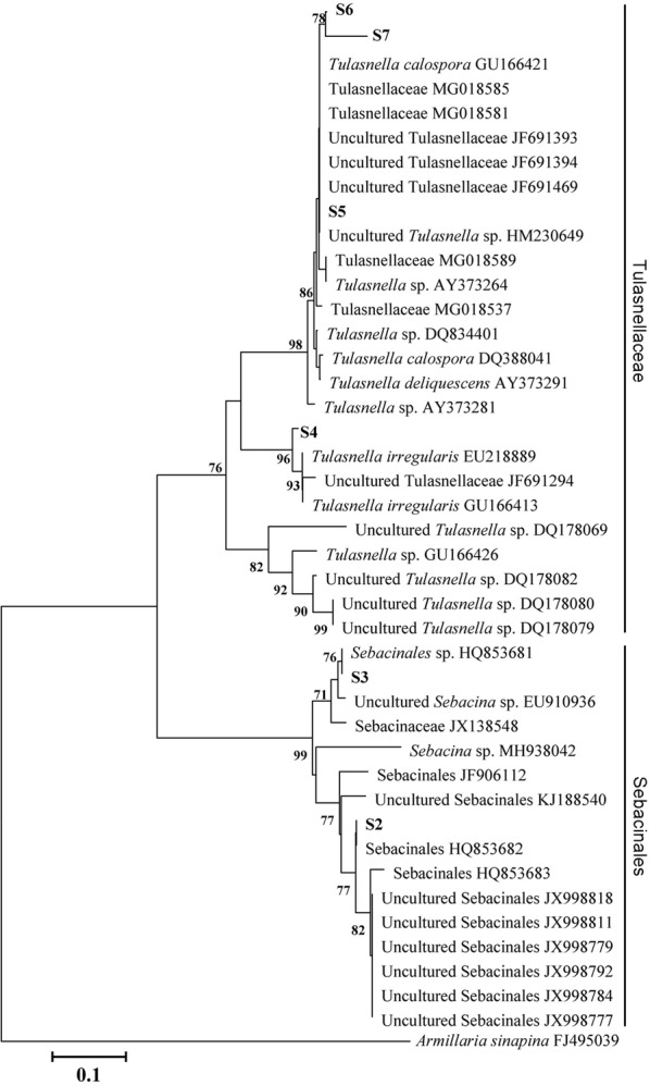 Fig. 1