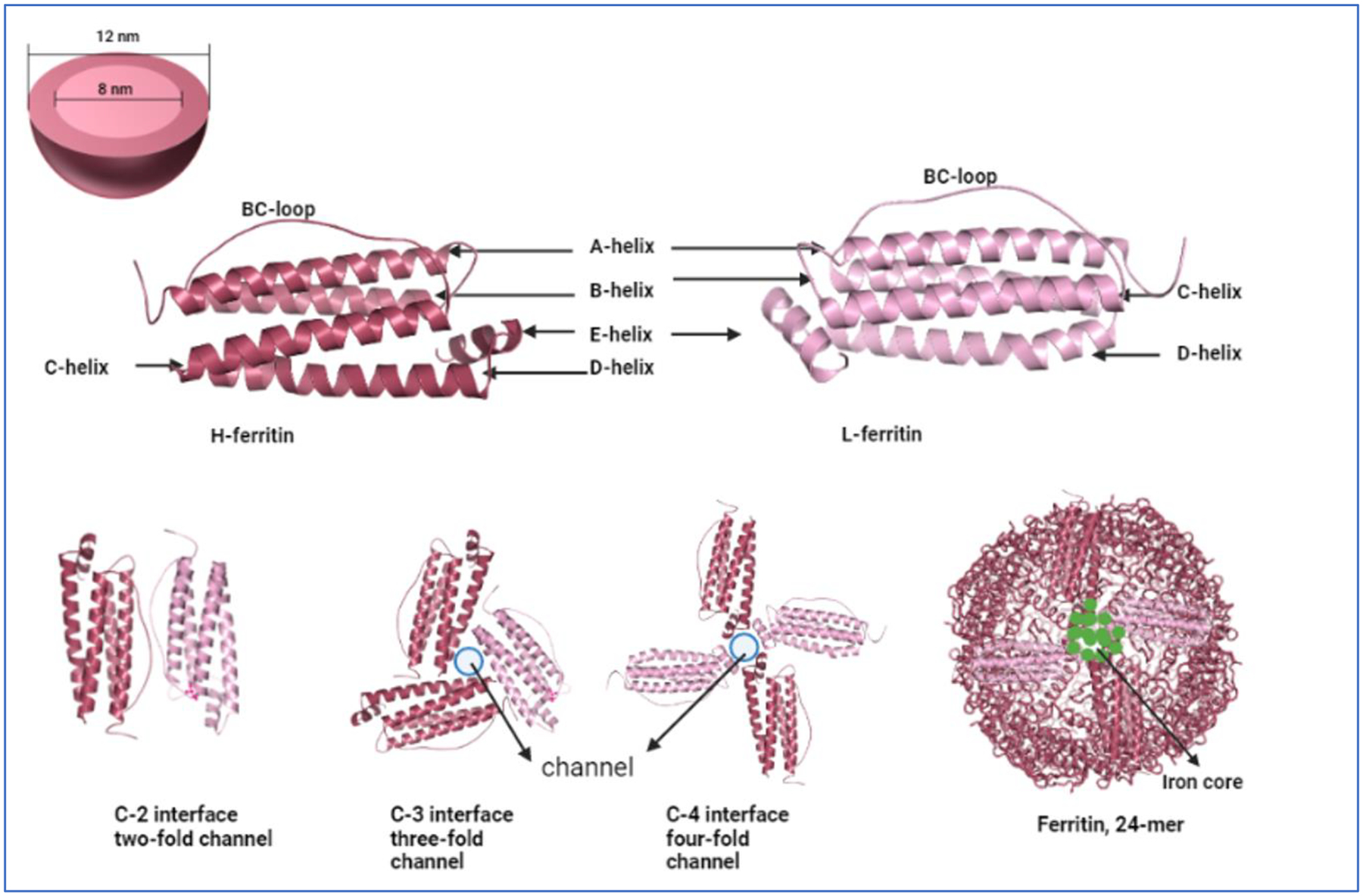 Fig. 1