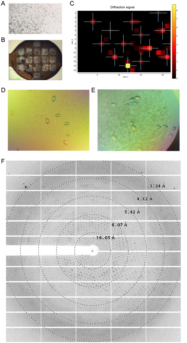 Fig 6