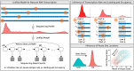 Graphical Abstract