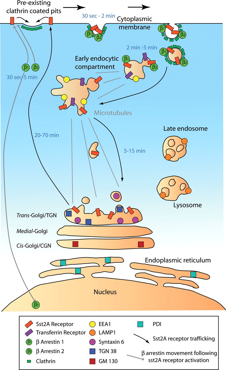 Figure 12.