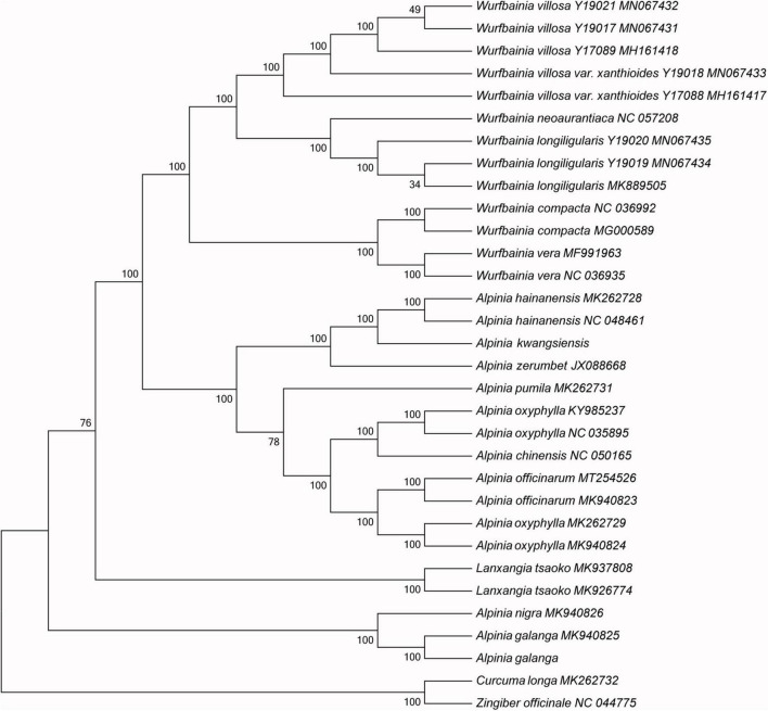 FIGURE 6