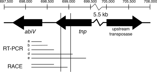 FIG. 2.