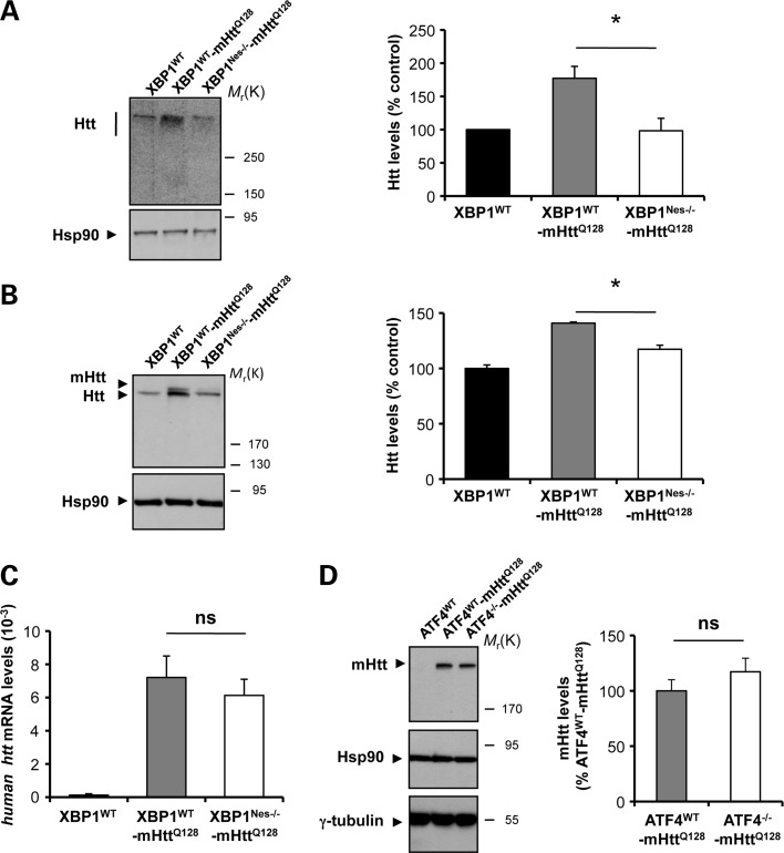 Figure 2.