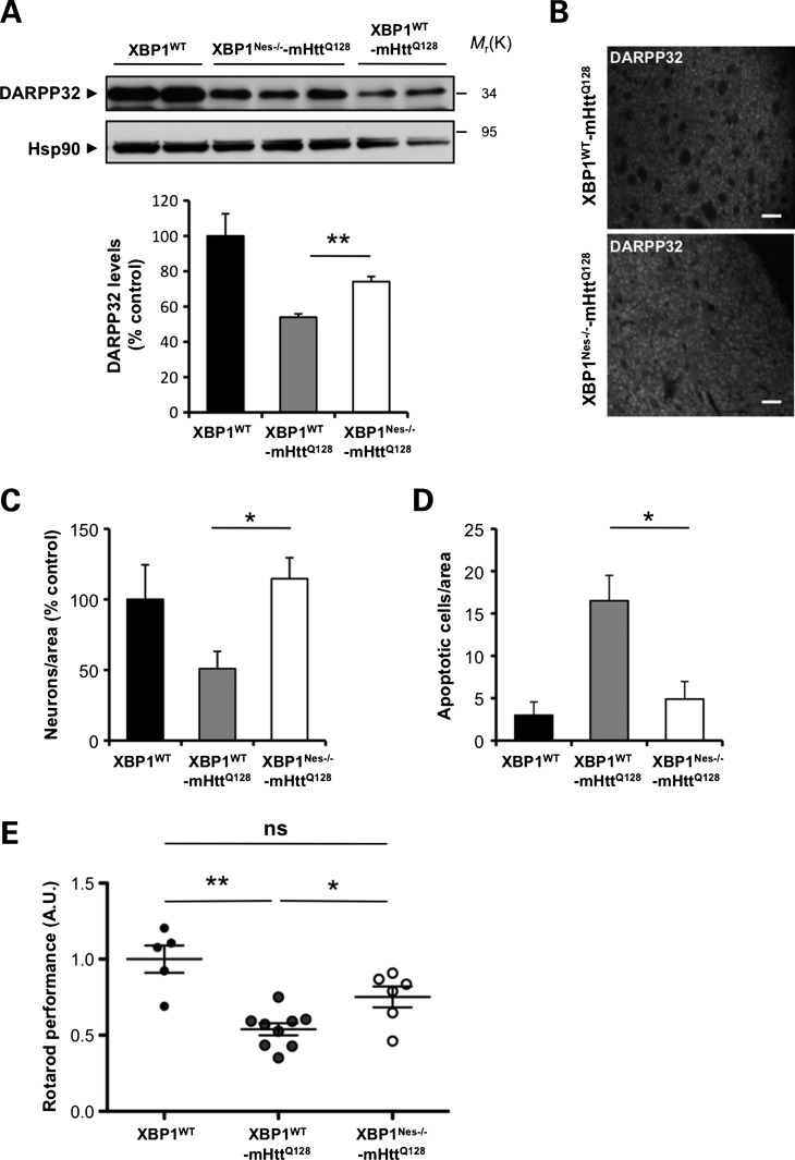 Figure 1.