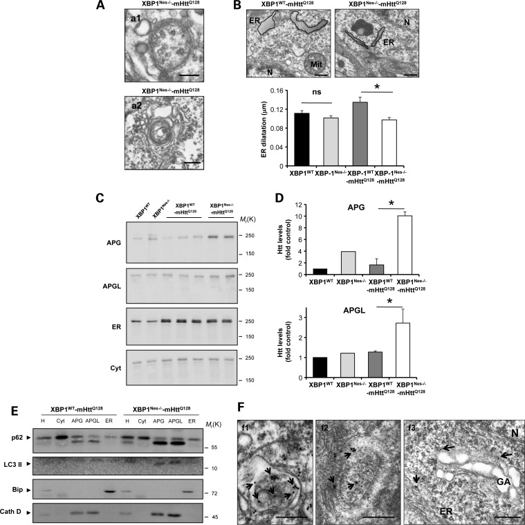 Figure 6.